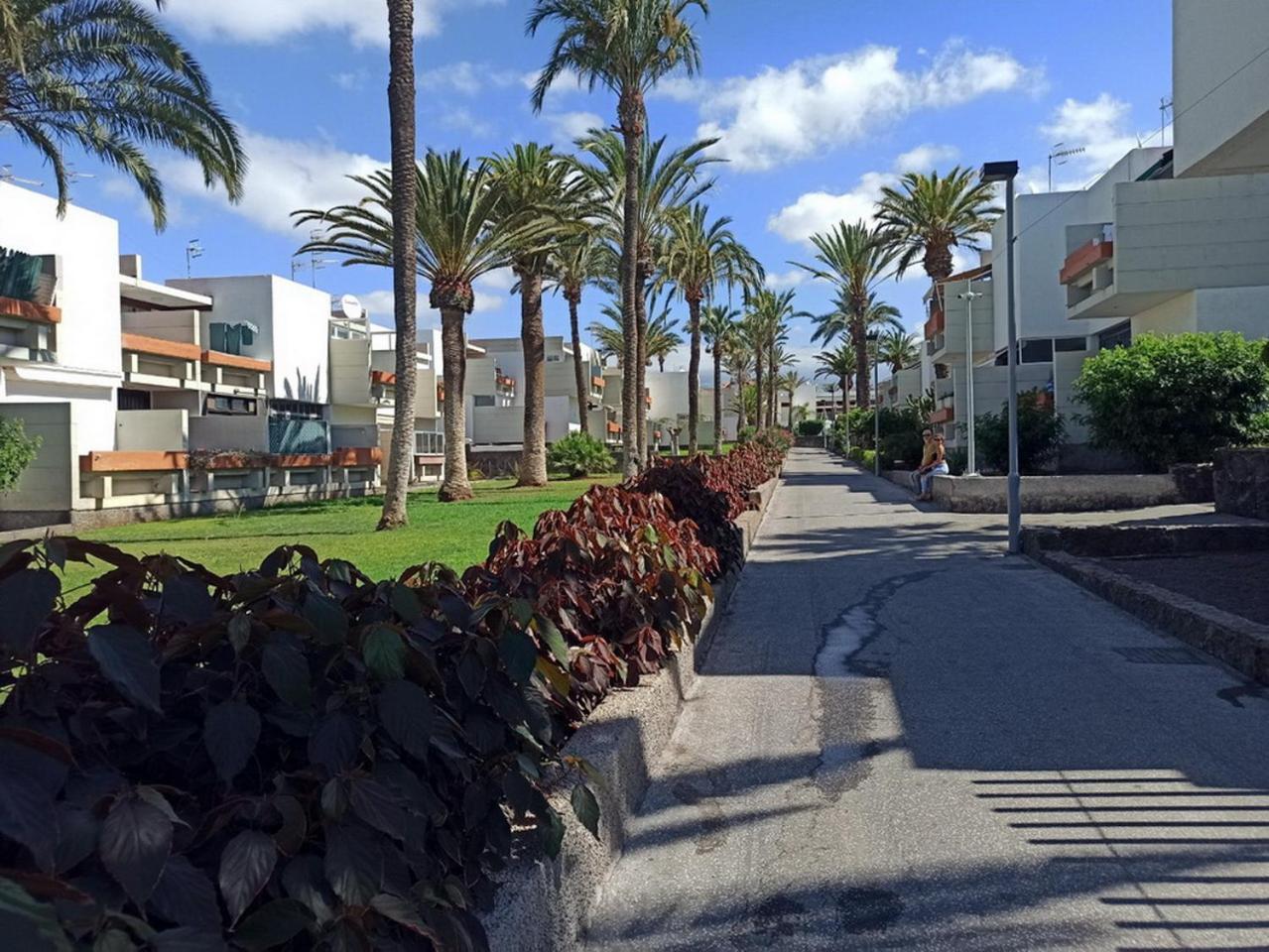 Nice Studio In The South Of Tenerife In The Costa Del Silencio Διαμέρισμα Εξωτερικό φωτογραφία