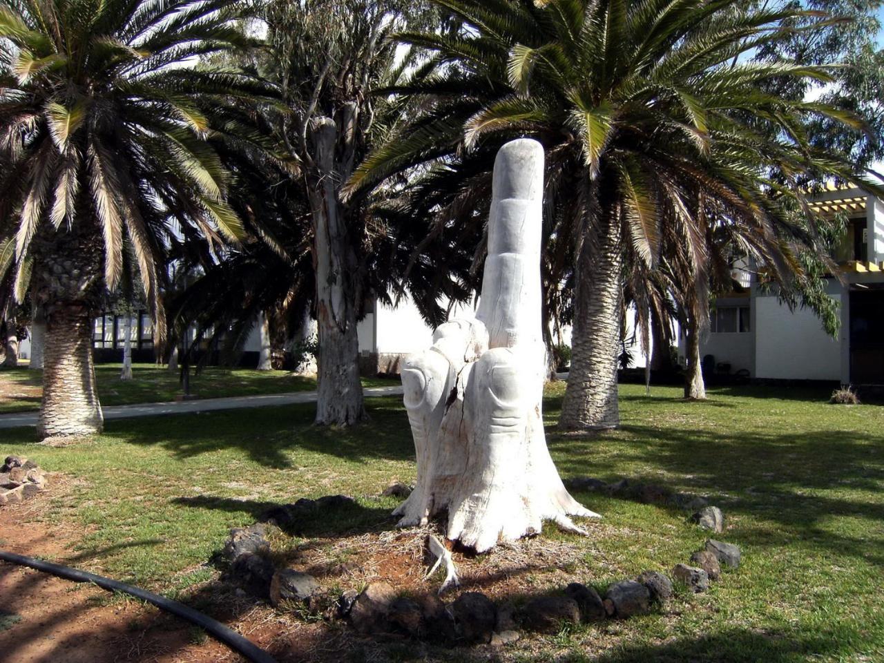 Nice Studio In The South Of Tenerife In The Costa Del Silencio Διαμέρισμα Εξωτερικό φωτογραφία